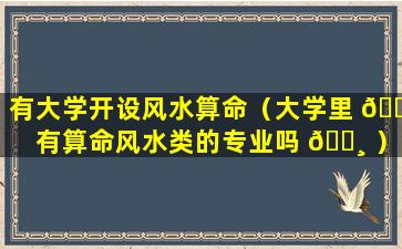 有大学开设风水算命（大学里 🐼 有算命风水类的专业吗 🌸 ）